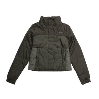 the north face femtastic insulated jacket