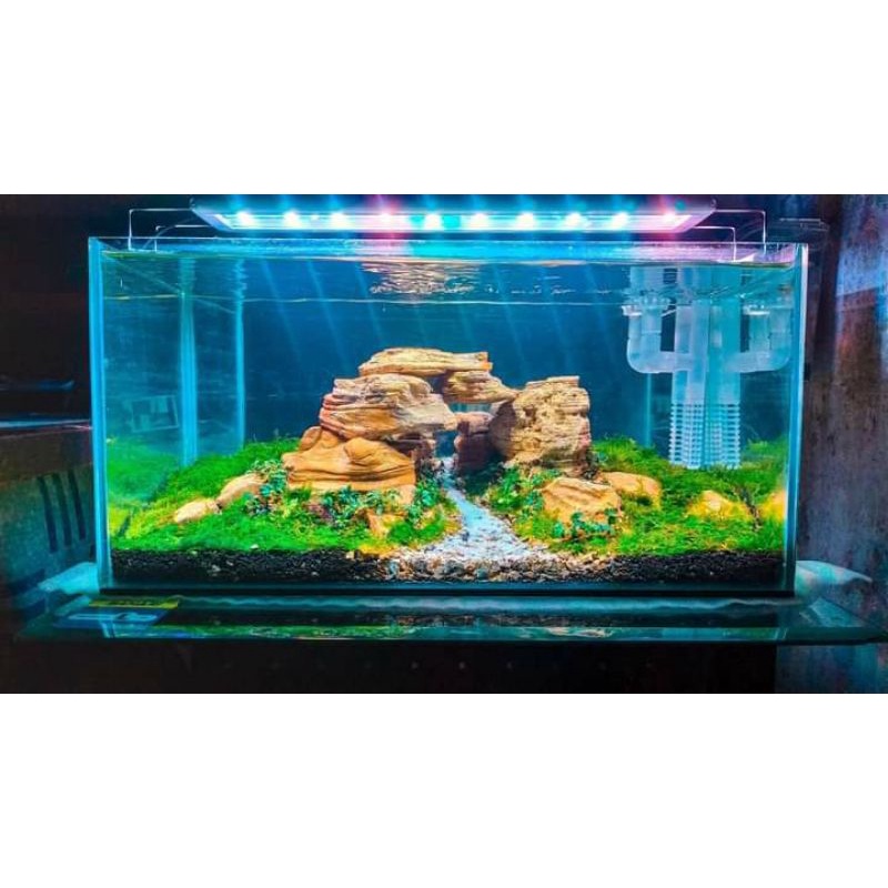 pasir biru silika biru kemasan 500 gram aquarium dan aquascape