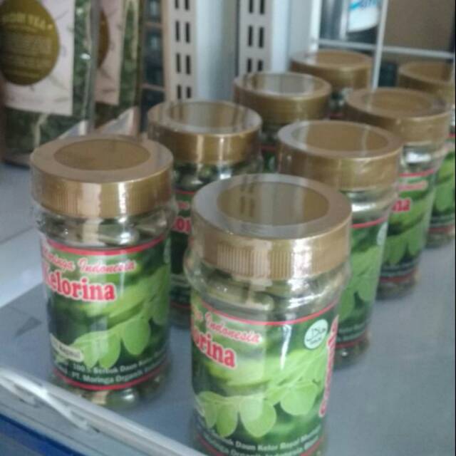 kapsul kelor isi 100 buah kapsul