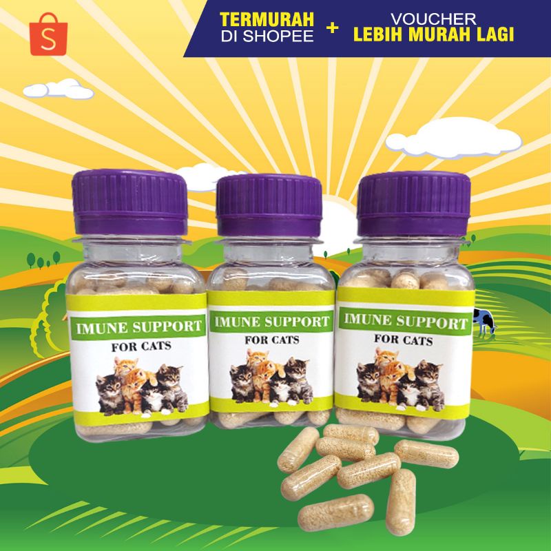 IMUNE SUPPORT ISI 25 - Vitamin Kucing Penguat Imun Kucing Anti Stress Kucing Anti Sakit Kucing Vitamin Imun Kucing isi 25 Kapsul