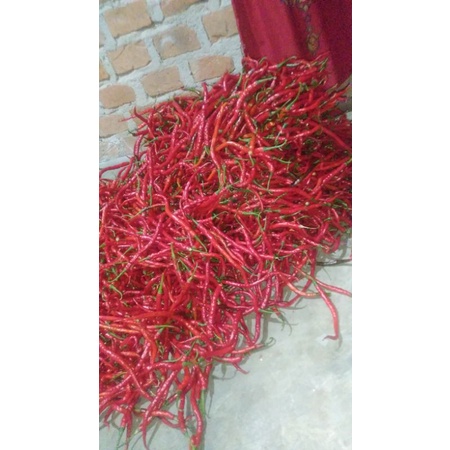

cabe merah segar