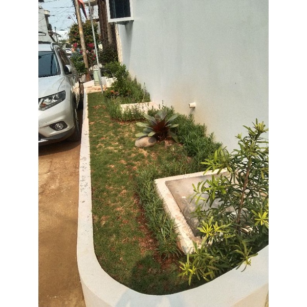menerima jasa pembuatan taman rumput golek+ jasa pembuatan taman pohon