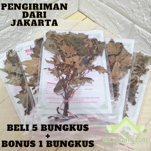 BENALU BATU ASLI SULAWESI TENGAH Mengobati Tumor Kangker Diabetes