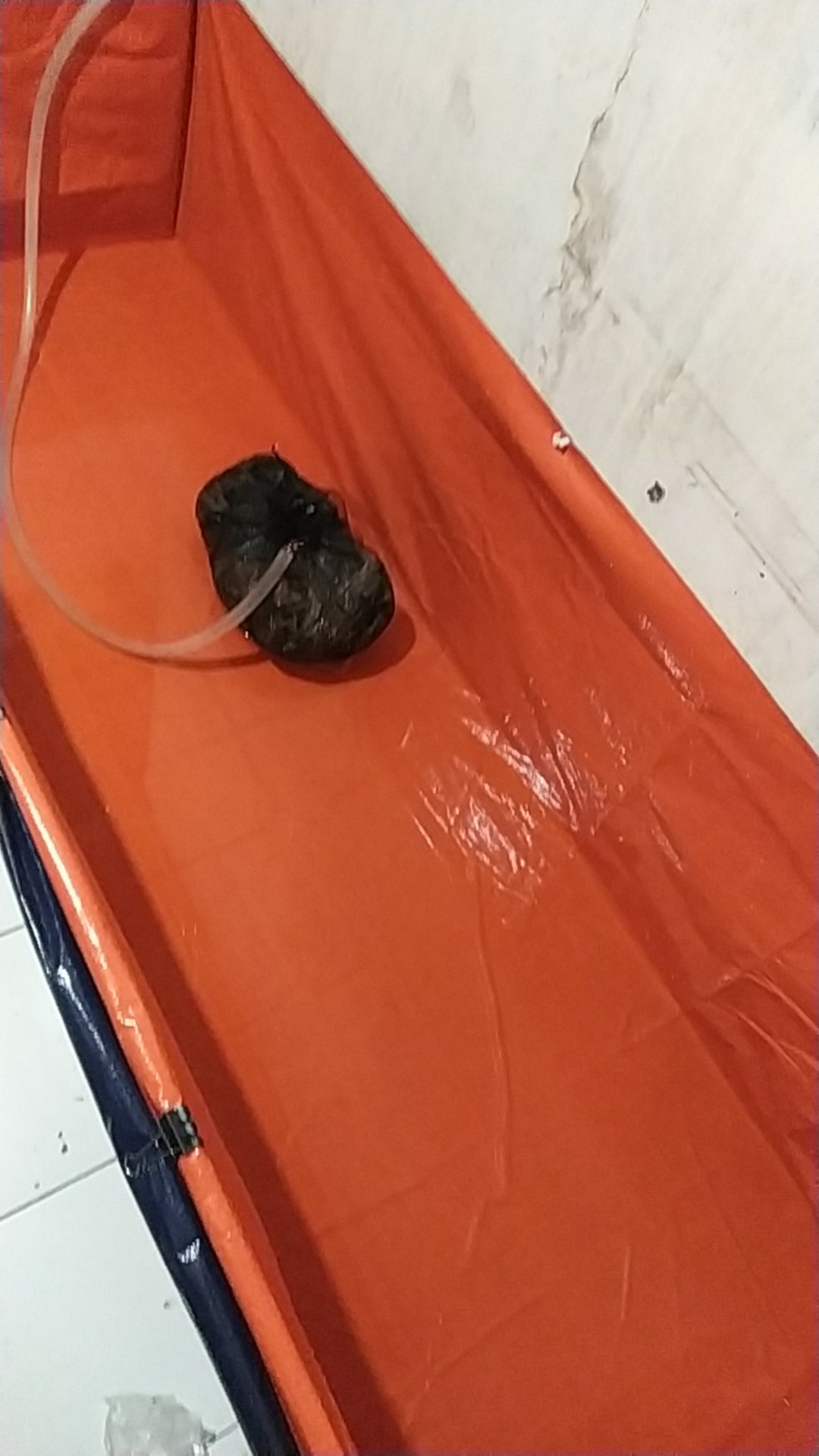 Terpal Jadi A5 Biru Orange Korea Sagitarius ( Ukuran Bebas / M2 )