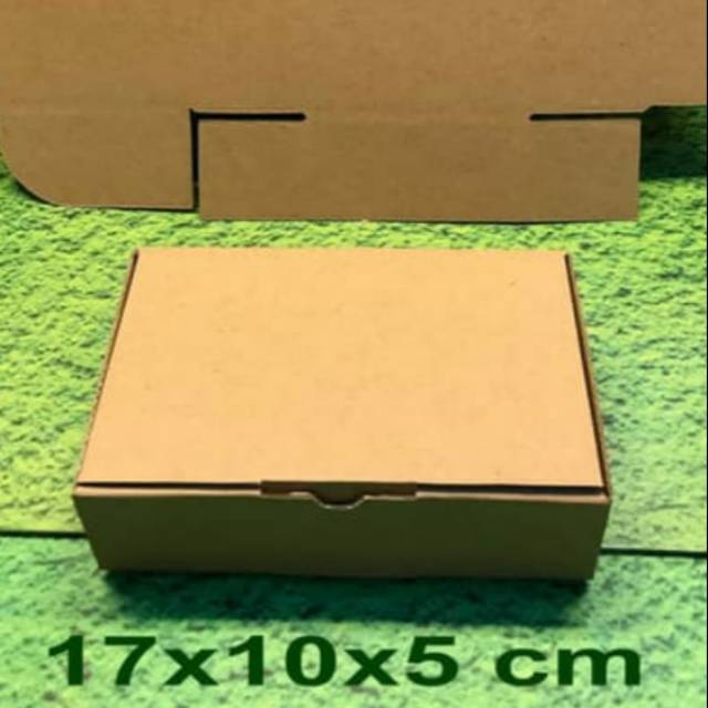 

kardus box pizza 17x10x5