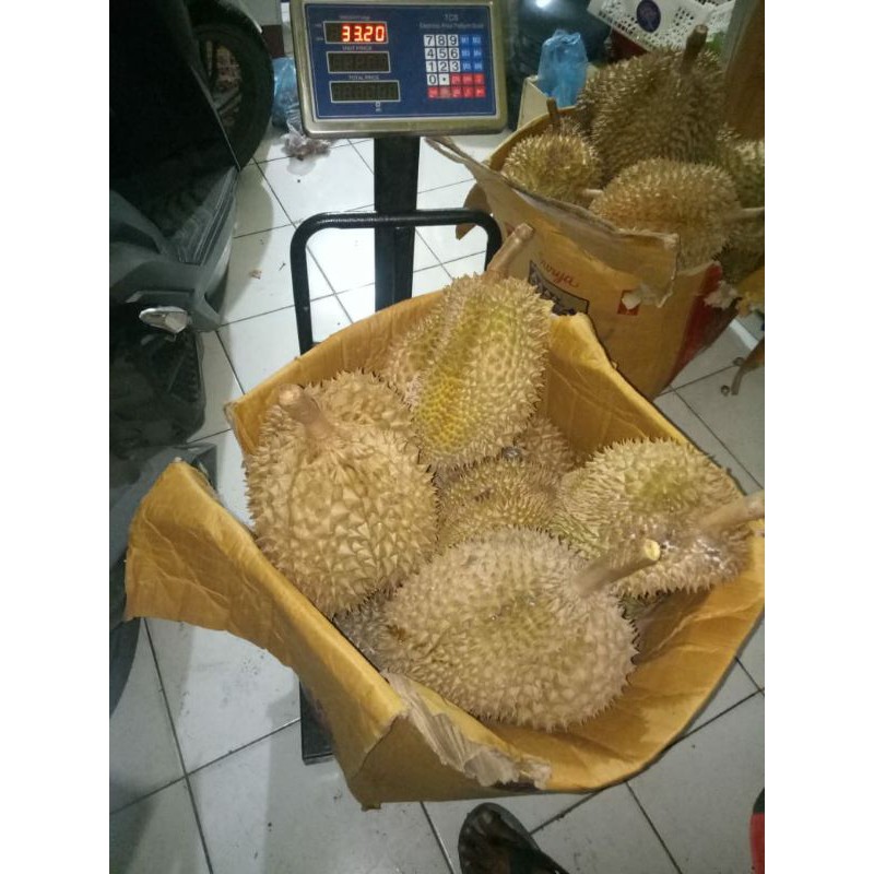 

duren montong