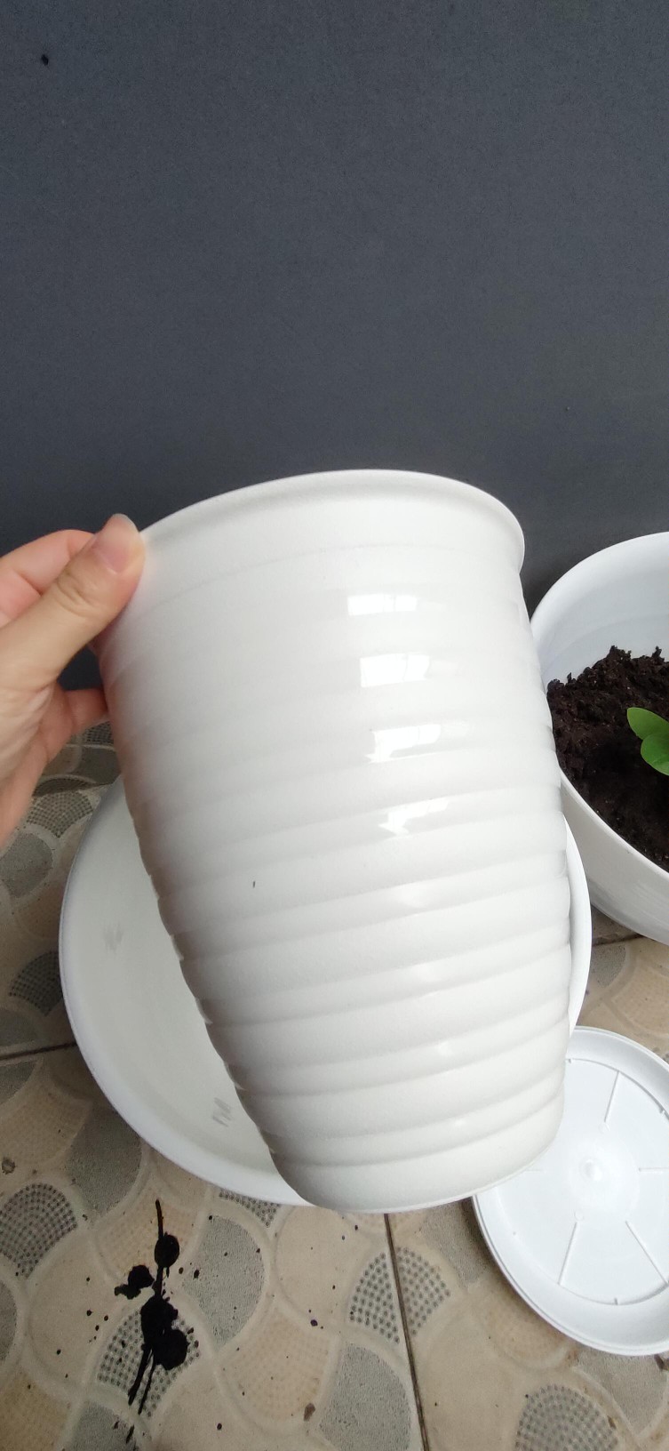 Ori 100% Pot Tawon Tinggi Pirus / Tirus 18 Cm + Tatakan Asli Budi Jaya Bjp Bunga Pupuk Daun Bibit