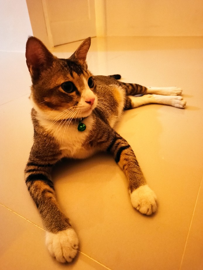 2sh Keranjang Penyimpanan Dapur