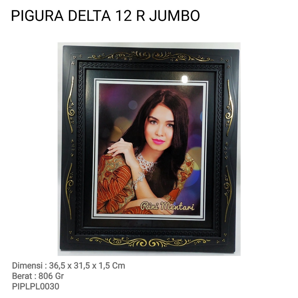 PIGURA DELTA 12 R JUMBO (KHUSUS KURIR INSTANT) PIPLPL0030