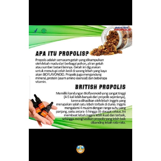 (BP)British Propolis