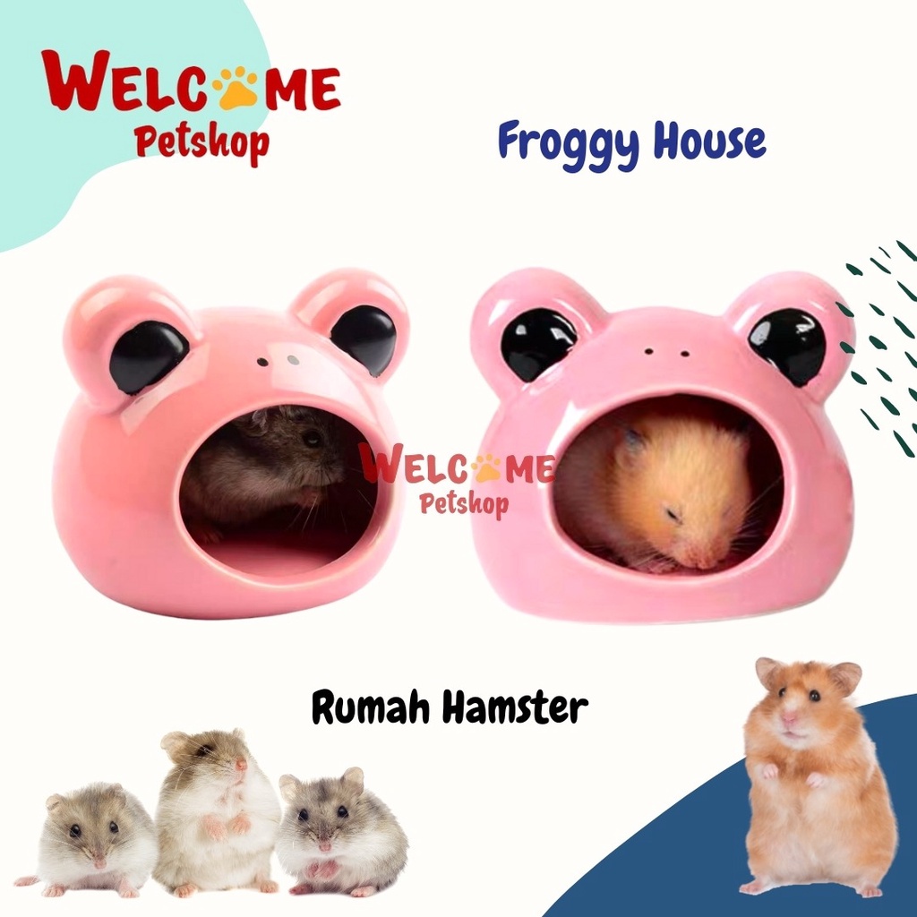 Froggy House / Rumah Keramik Hamster Motif Katak / Rumah Hamster