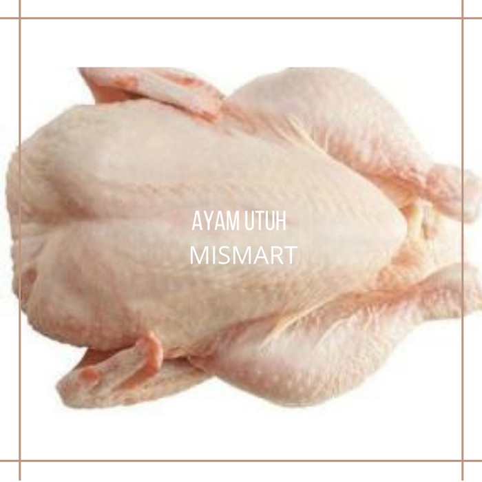 

AYAM NEGERI UTUH 1 EKOR