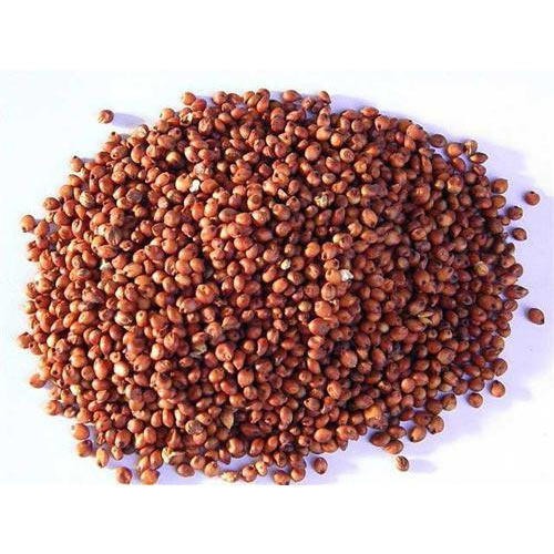 

Beras Merah Shorgum 500gram / Beras Sorgum Merah / Sorghum