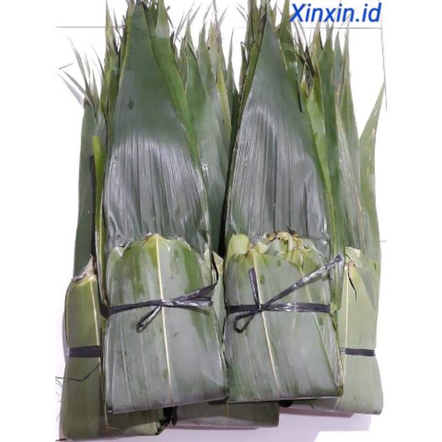 Daun bakcang / Cang Hiok / Kicang / Ki cung Jap asli,Bungkus makanan bakcang