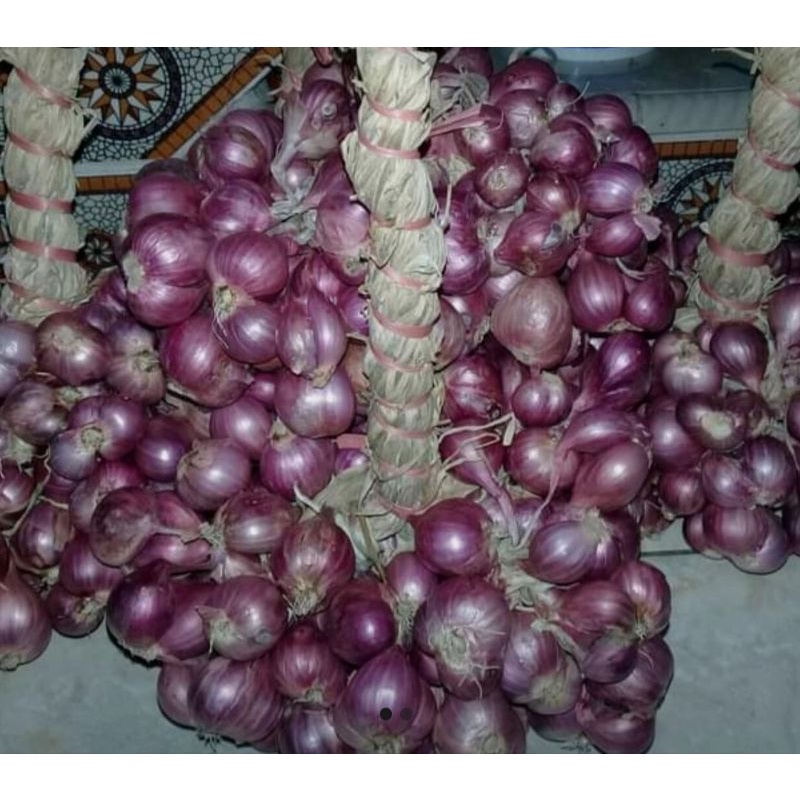 

BAWANG MERAH PROBOLINGGO (IKETAN)