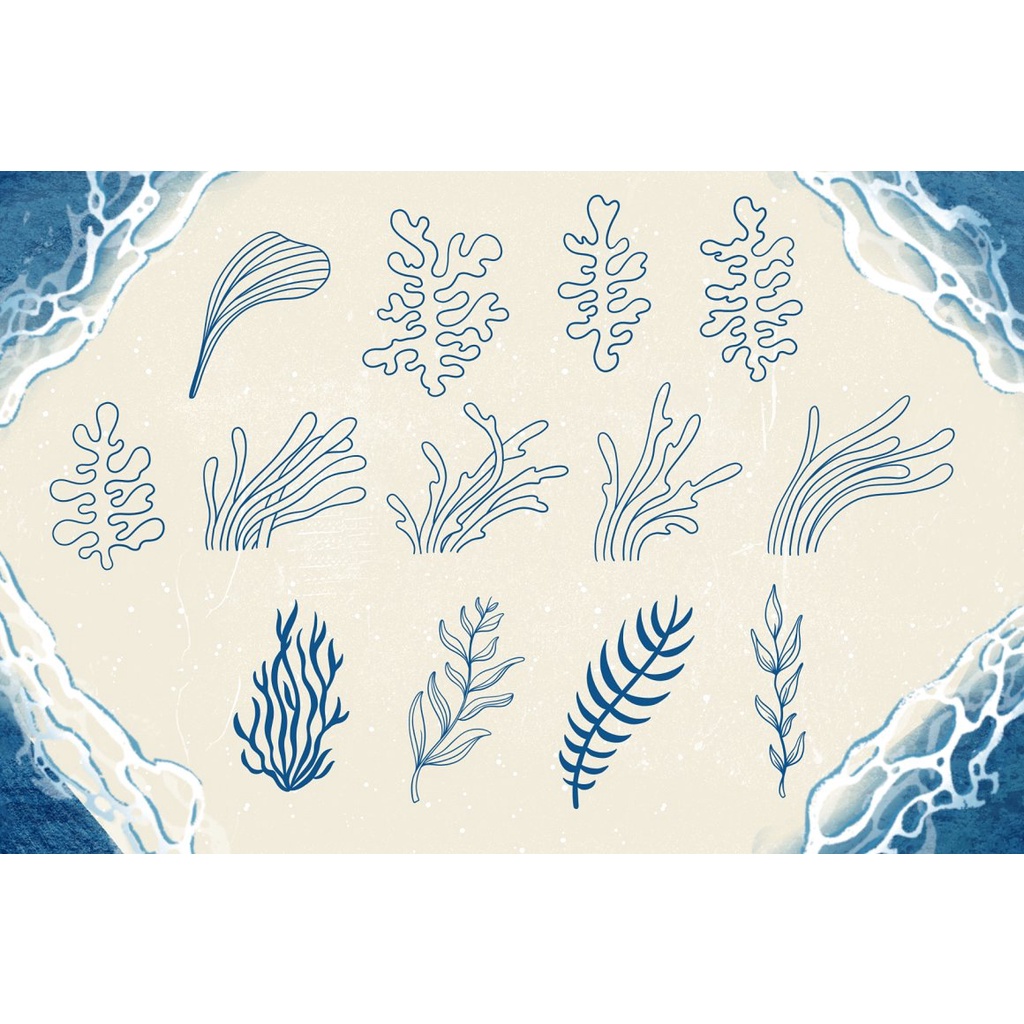 Procreate Brush - Seashells &amp; Driftwood Procreate Set