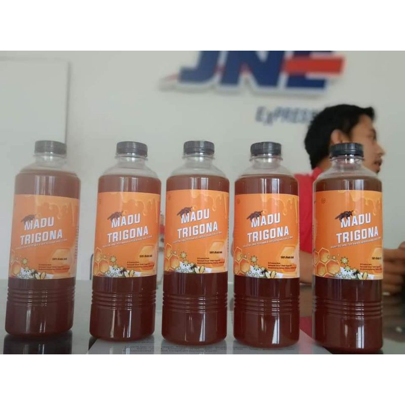 

madu trigona Lombok Utara 100% murni