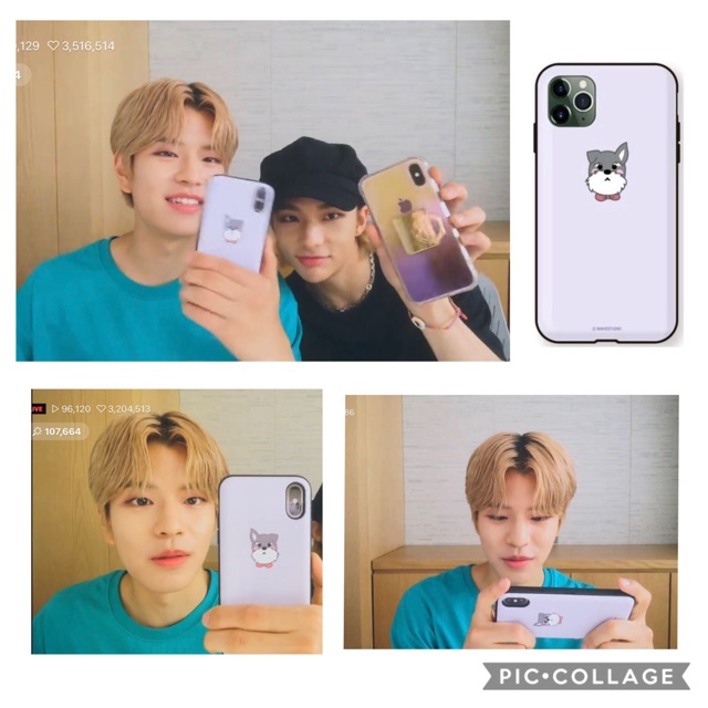 Stray Kids Kim Seungmin dog custom phone case straykids