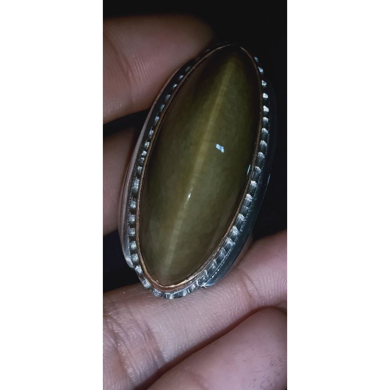 PANDAN LUMUT LAWAS TOP QUALITY