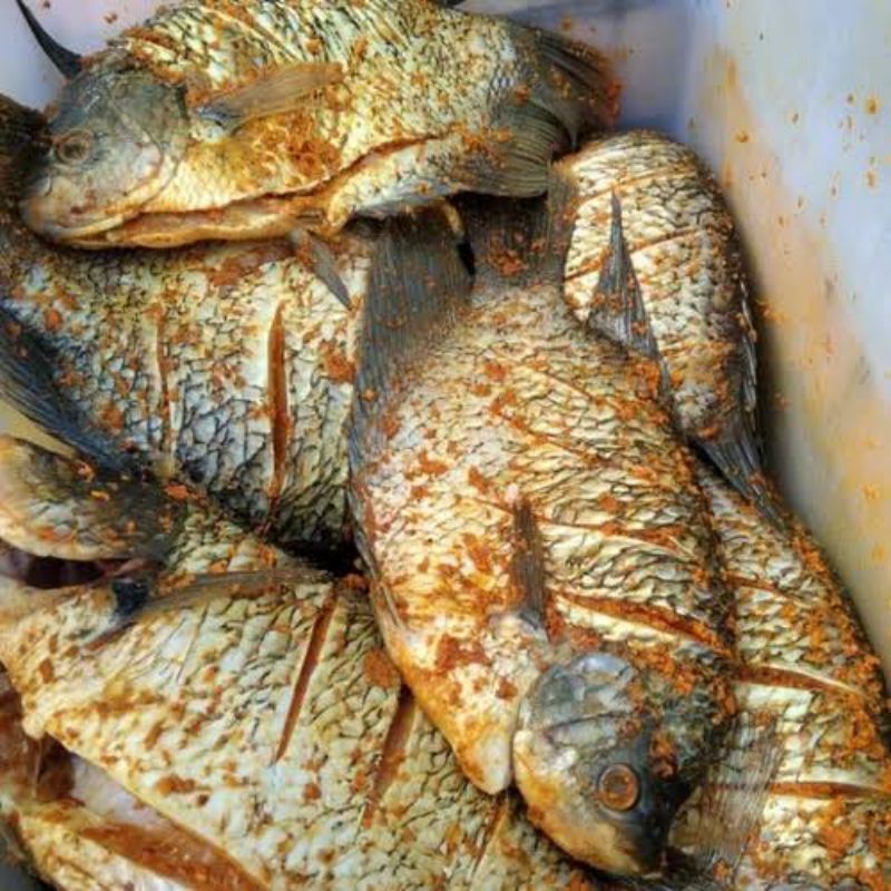 

Ikan Gurame Bumbu Kuning 500 gr ( Siap Goreng )