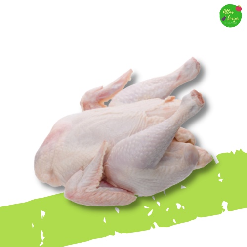 

Ayam Broiler Utuh