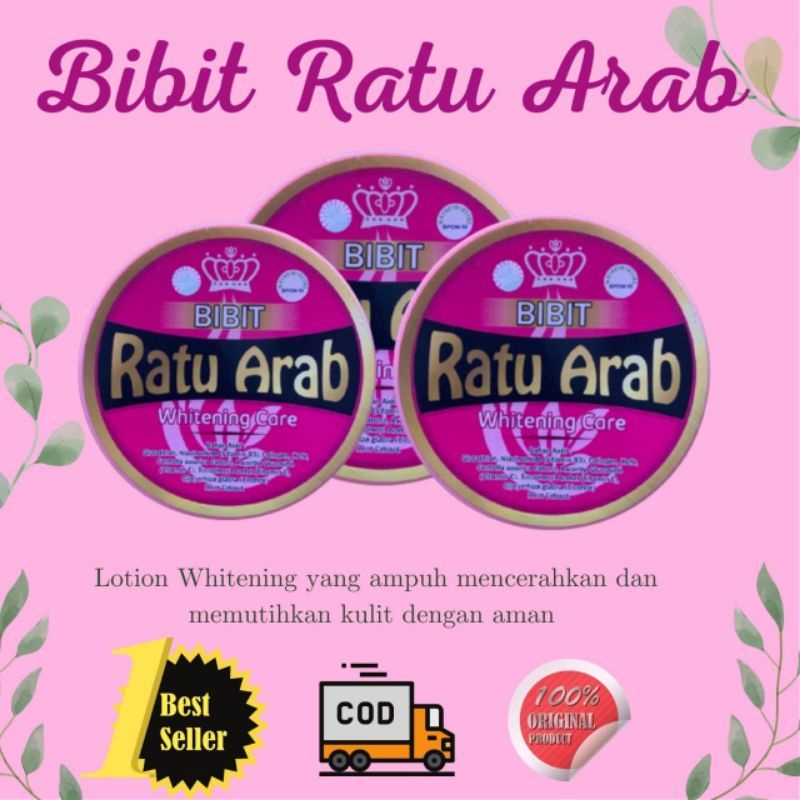 BIBIT RATU ARAB ORIGINAL ( FREE LULUR BEDDA LOTONG/TASBIH DIGITAL )