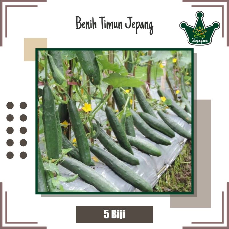 Bibit Sayur Timun Jepang Hibrida - Benih Sayuran