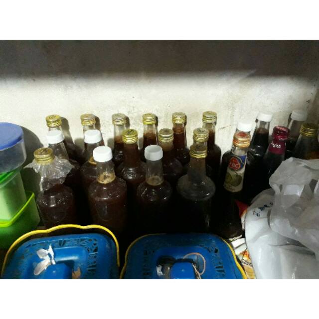 

Madu asli kalimantan
