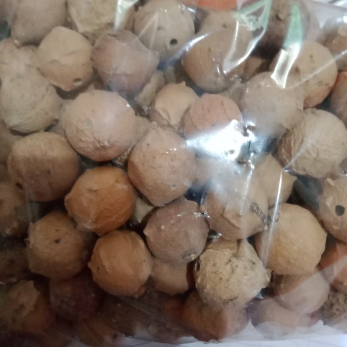 

Buah Kering - Buah Manjakani Kering Asli 1Kg (Foto Real)