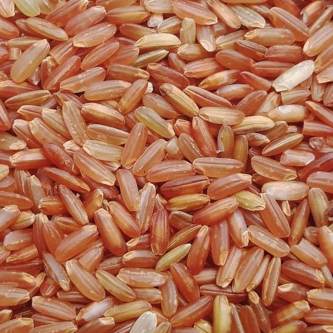 

BERAS- 1 KG BERAS MERAH ORGANIK JAWA TENGAH - KAZE RICE -UNGGULAN.
