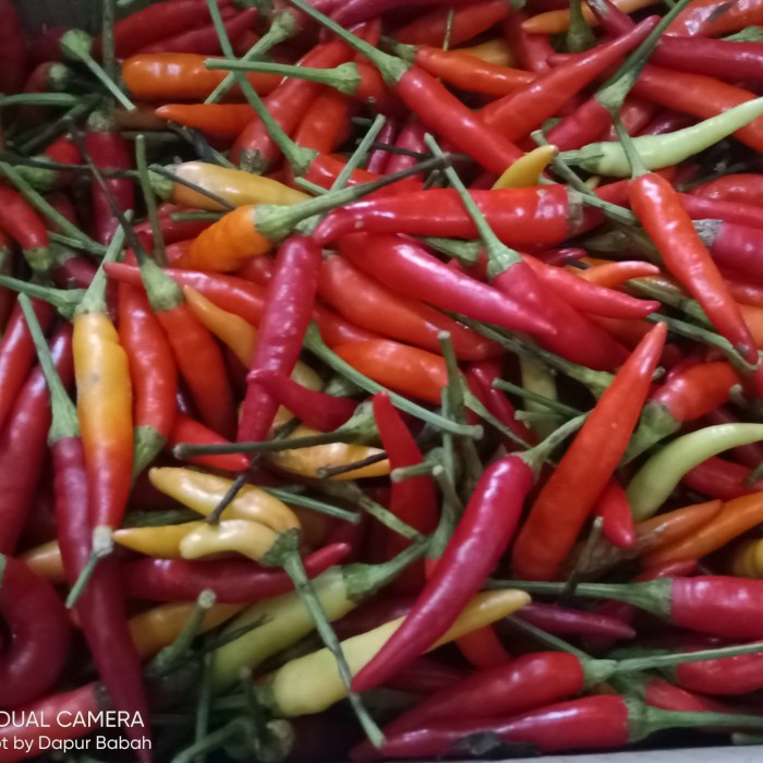 

Sambal-Aneka- Cabe Rawit Merah Jablay Setan Galak 1 Kg - Tidak Petik -Aneka-Sambal.