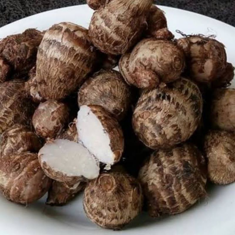 

Talas umbi akar Pulen Segar 1kg