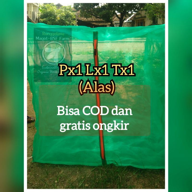 Jual Kandang Lalat Bsf X X Siap Pakai Shopee Indonesia