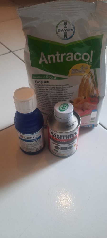 Insektisida Curacron 500ec 100 Ml