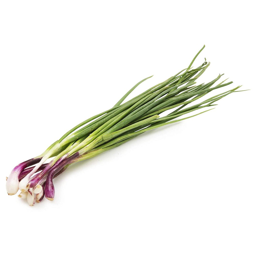 

SPRING ONION / 100GR