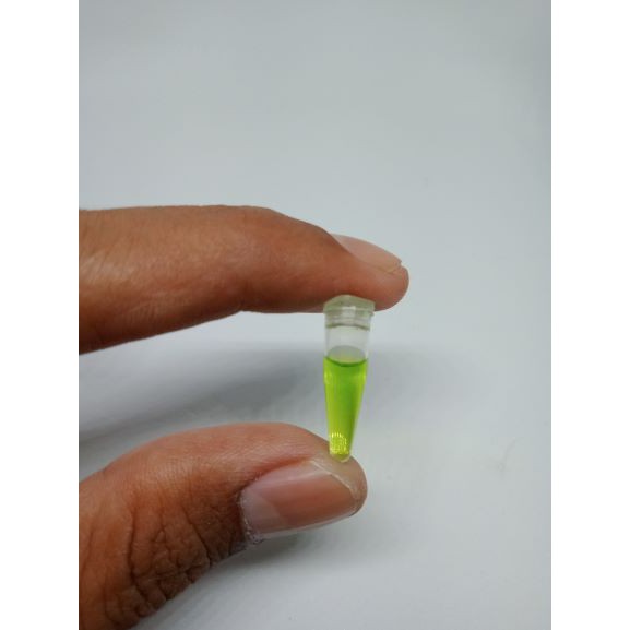 ESSSEN ESEN E_91 IKAN MAS PREMIUM BUBLEGUM