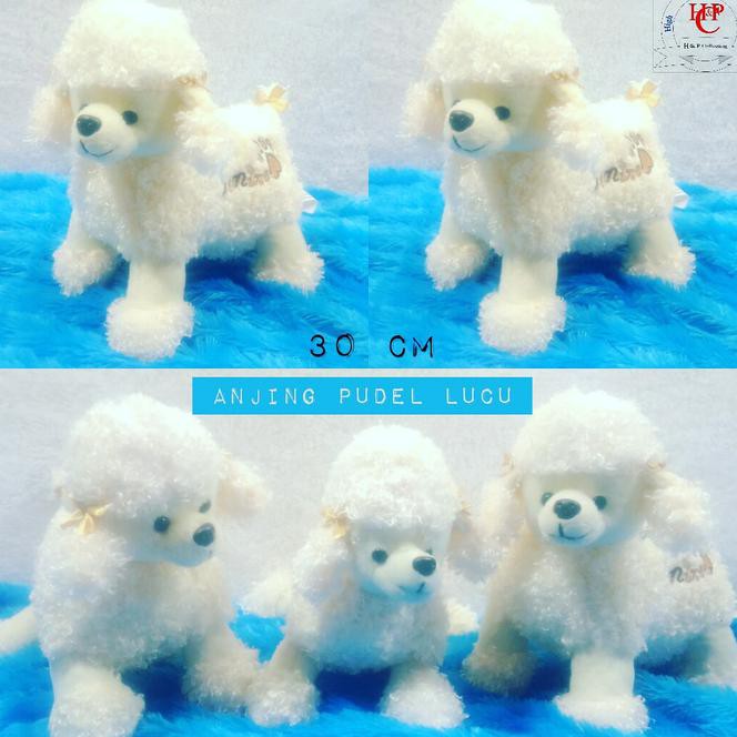Boneka Anjing Pudel Lucu Shopee Indonesia