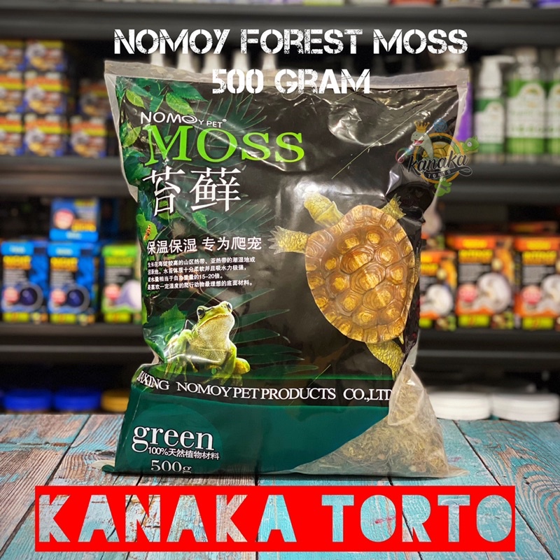 Nomoy Forest Moss 500 Gram Alas Kandang Reptil Amphibi Kodok Pacman Dart Frog Pixie Kura Air