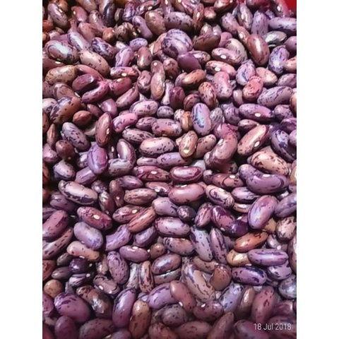 

Kacang merah joggo 250g KUALITAS SANGAT PREMIUM BY MDS