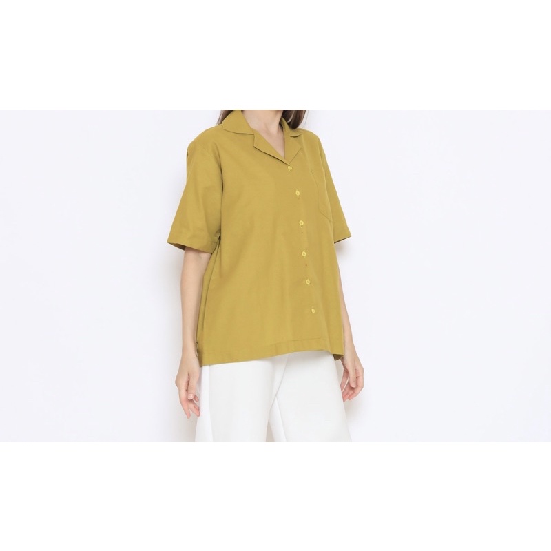 Linen Shirt Collar