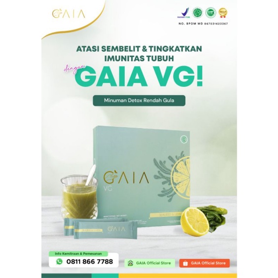 PAKET hemat 2 box GAIA VG Minuman Detox kesehatan usus