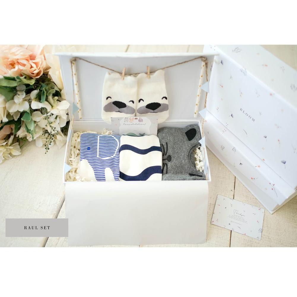 KADO NEWBORN  / KADO BABY BOY / KADO NEWBORN BOY / HAMPERS BAYI COWOK / KADO ANAK LAKI LAKI (ART. G7