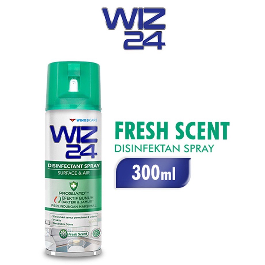 WIZ 24 DISINFECTANT AEROSOL 300mL