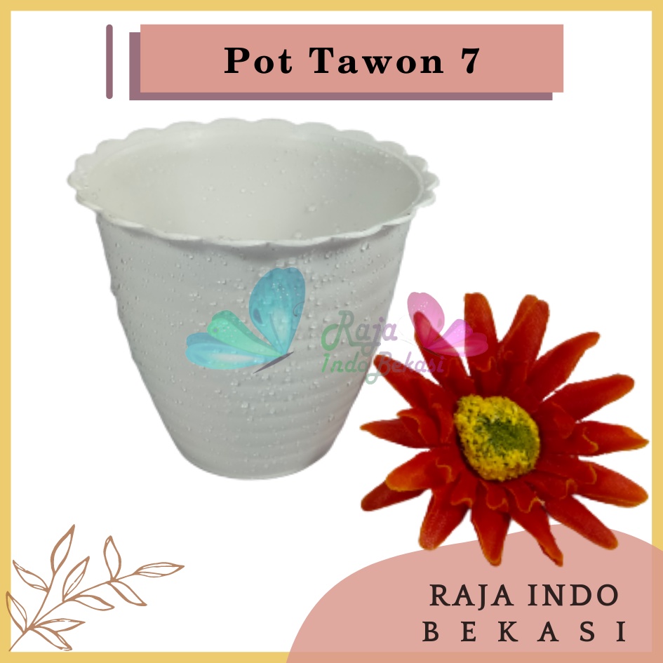 Pot Tawon 7 Putih 7.5 Cm By Garden Of Love Pot Bunga Plastik Mini Lucu Vas Bunga Kaktus Kecil