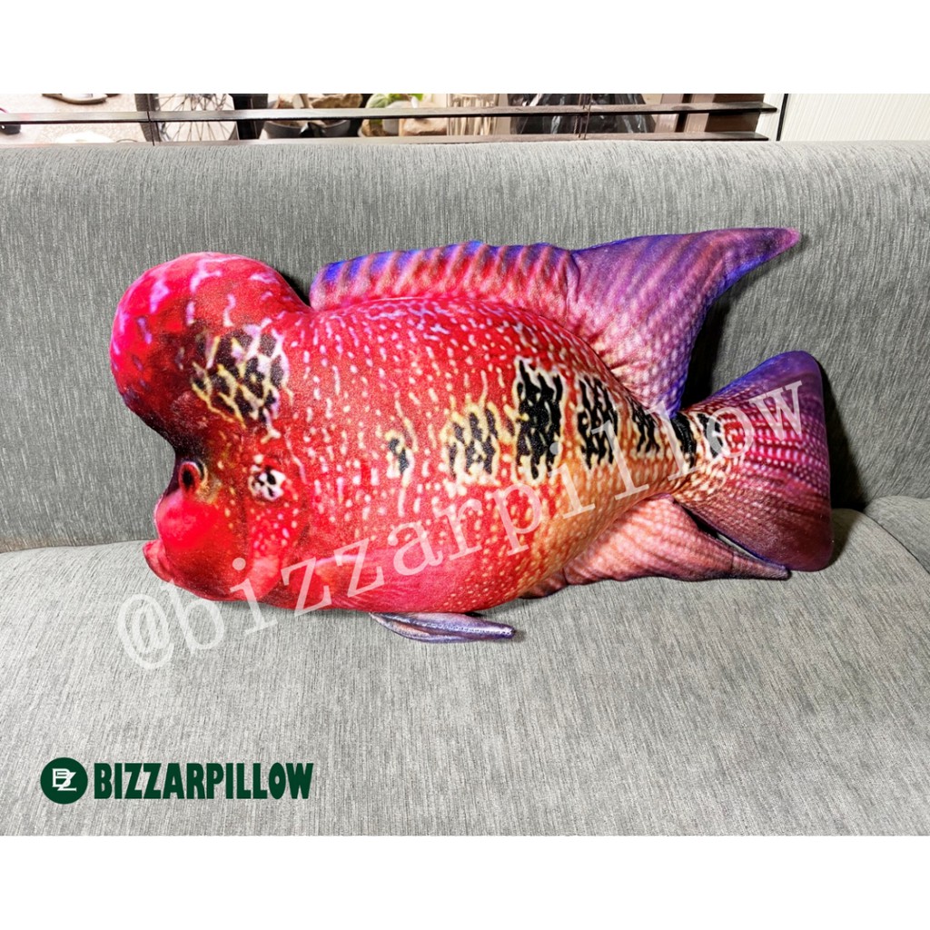 Bizzarpillow Bantal Ikan Louhan size M BZ080