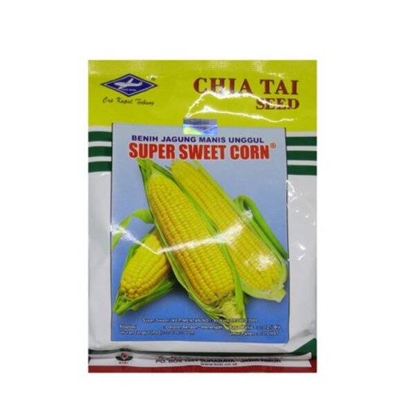 Benih Bibit Jagung Manis Super Sweet Corn 250gr Hibrida Kapal Terbang
