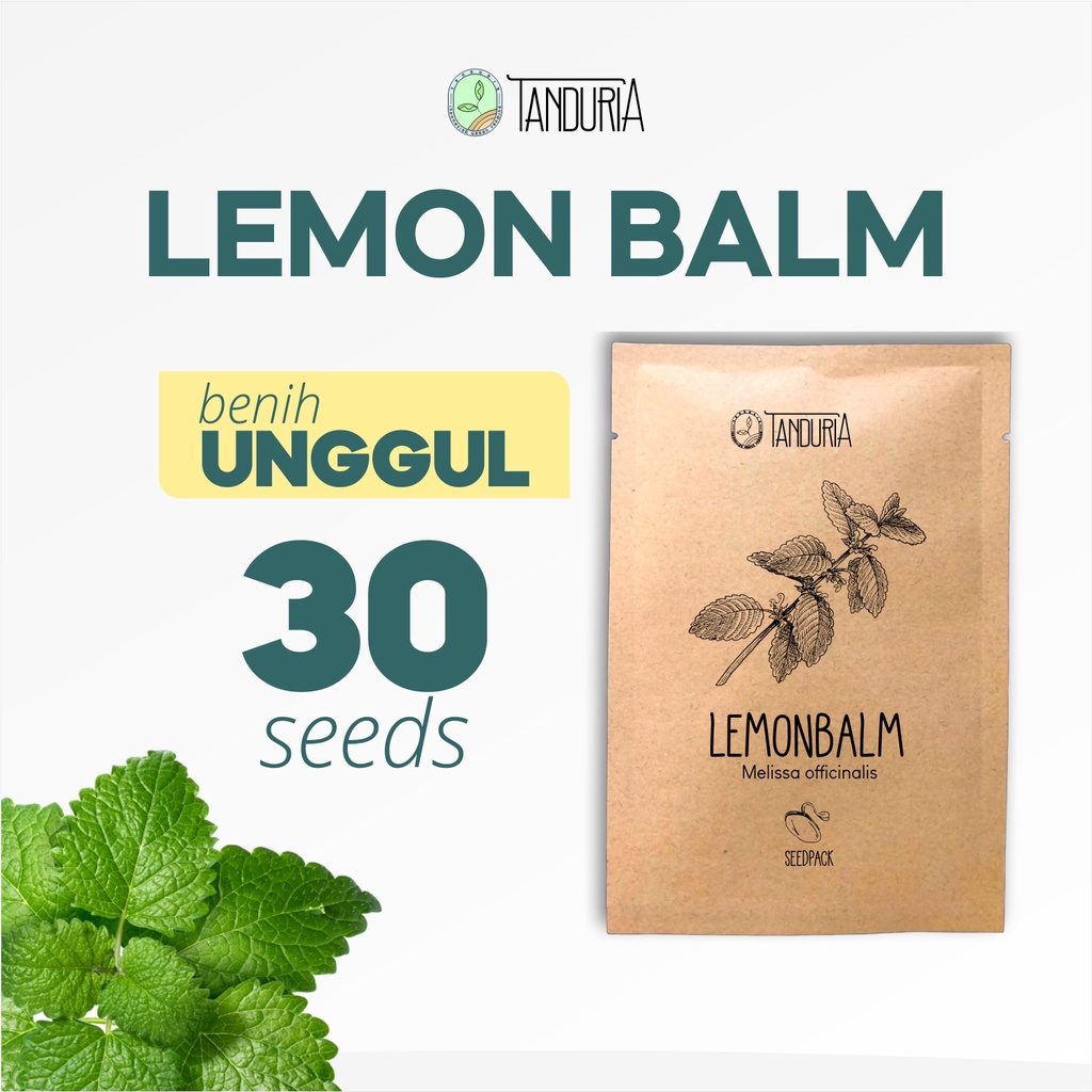 LEMON BALM