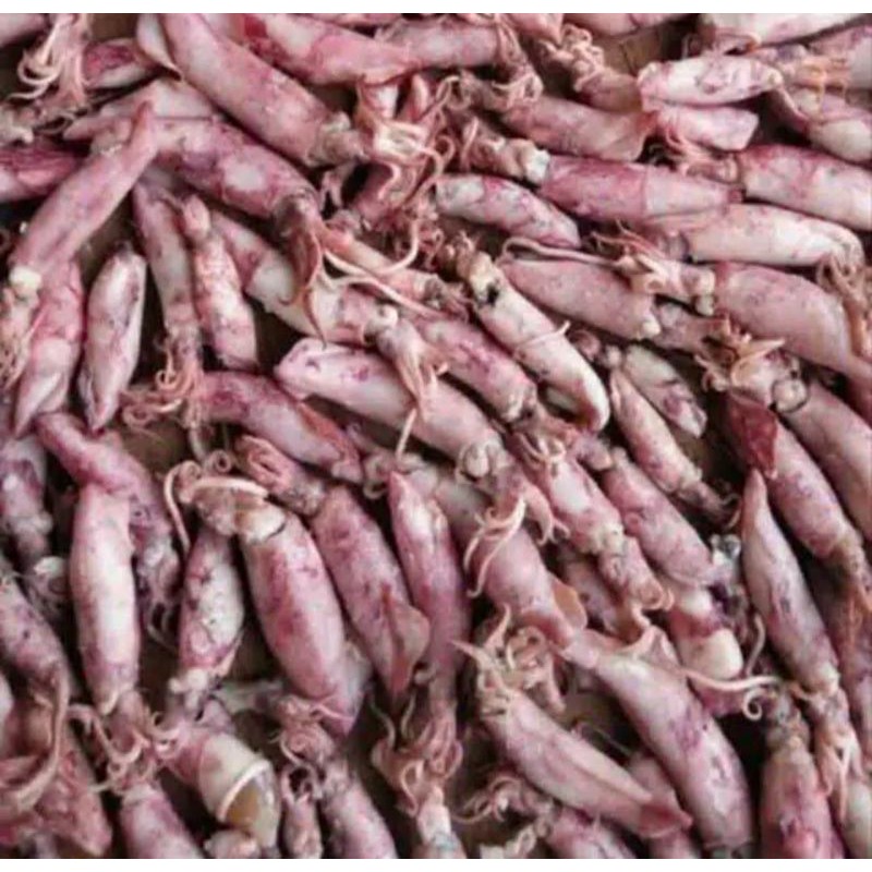 

IKAN CUMI ASIN BESAR
