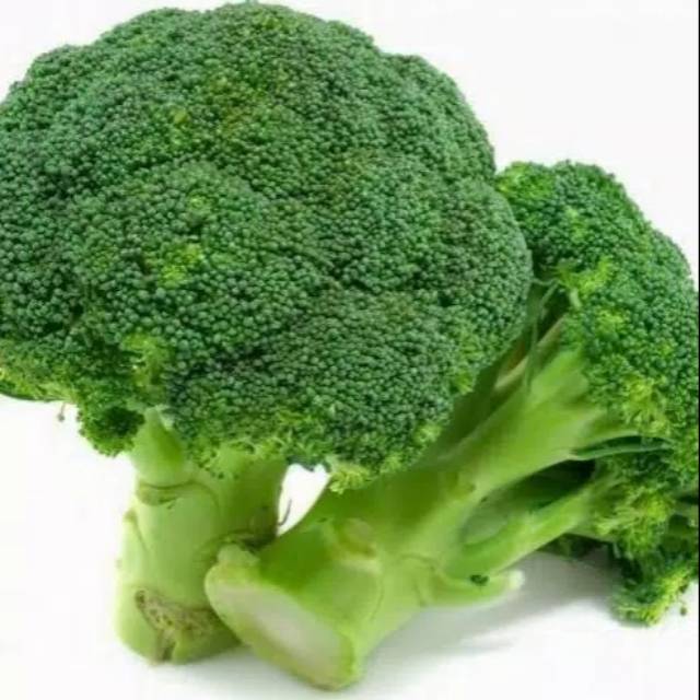 

BROKOLI SAYUR BROKOLI BROKOLI SEGAR 250 GRAM