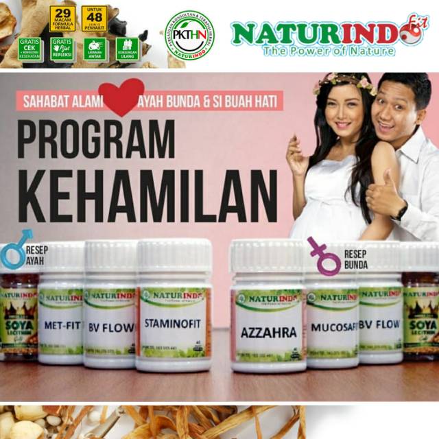 Herbal Progam Kesuburan Ayah / promil / program kehamilan Naturindo